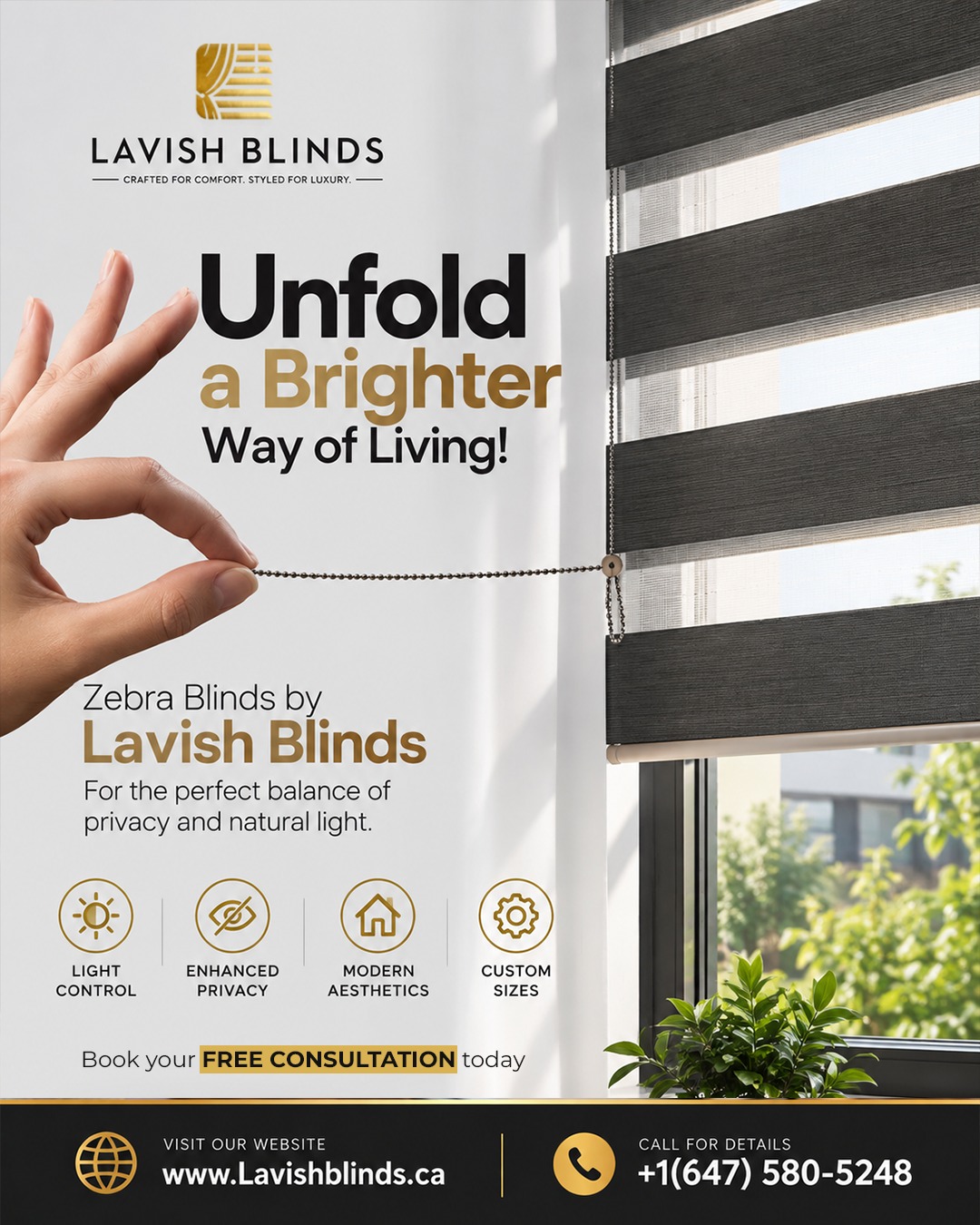 Lavish Blinds zebra shade visual explaining privacy and natural light control